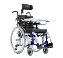 Активная коляска Puma 600